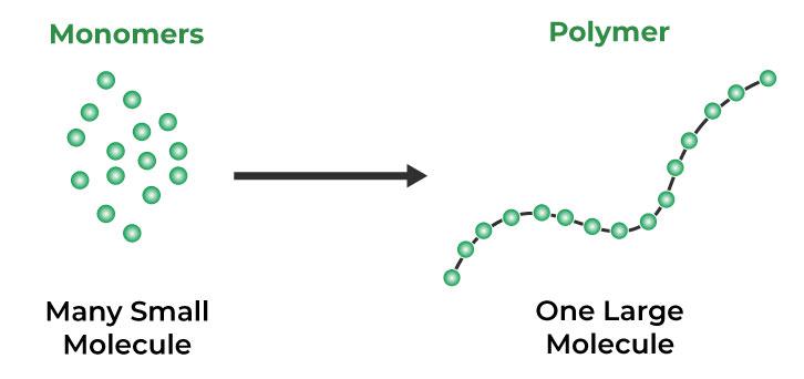 What are polymers?