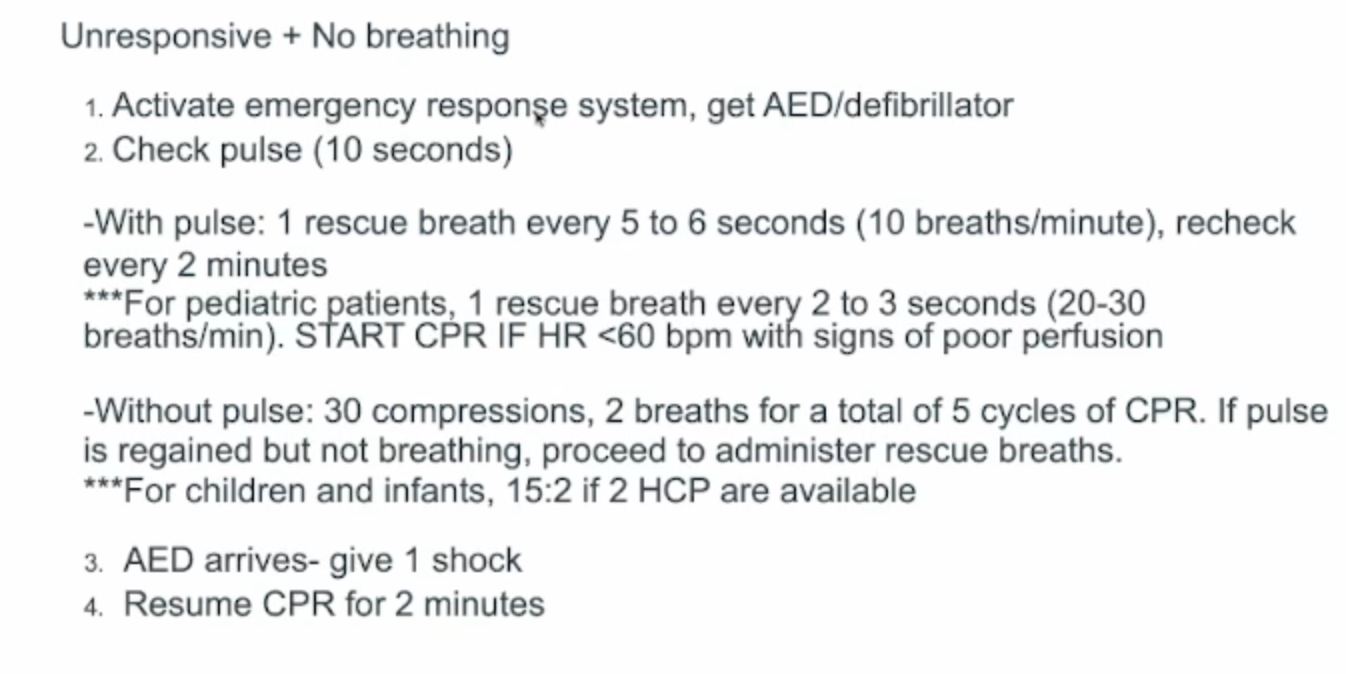 <ul><li><p>B</p></li><li><p>pulse but no breathing&nbsp;</p></li></ul><p></p>