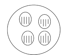 <p><span>2 sporocysts which each contain 4 sporozoites</span></p>