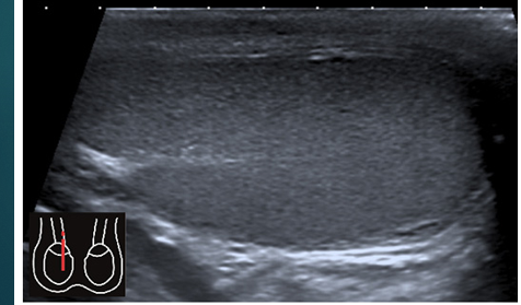 <p>what do you see</p>