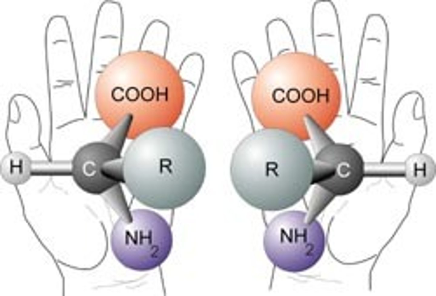 <p>a molecule that is not superimposable on its mirror image<br>"this molecule is chiral"<br>optically active</p>
