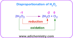 <p><span style="line-height: 15.693334px;"><span>A reaction where the same element is </span><strong><u><span>simultaneously</span></u></strong><span> oxidised and reduced.</span></span></p>