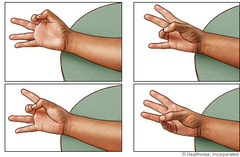 Movement of the thumb to touch the fingertips