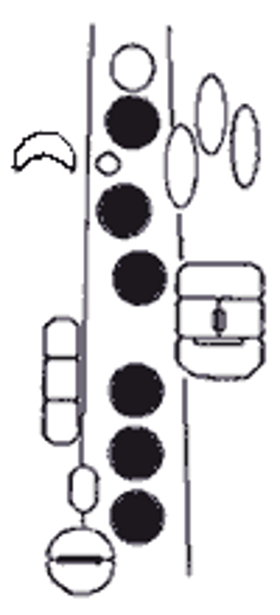 knowt flashcard image