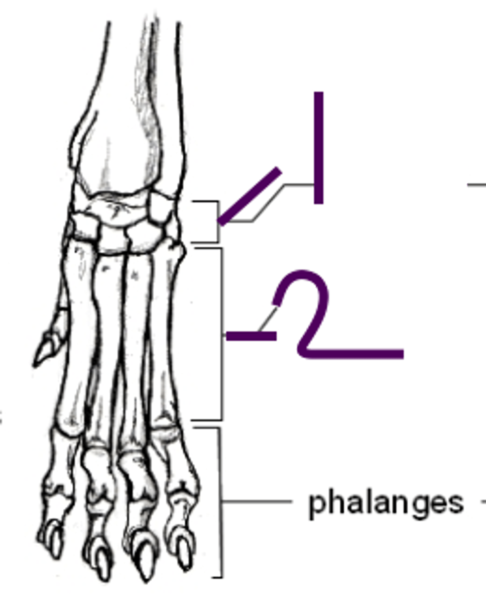 <p>What is 2?</p>