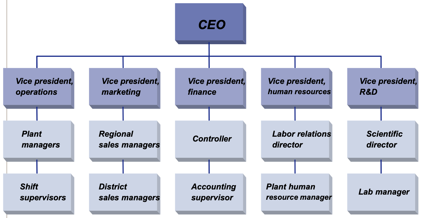 <p>grouping jobs based on similarity in functions</p><p>HIGH span of control, centralization, task specialization</p>