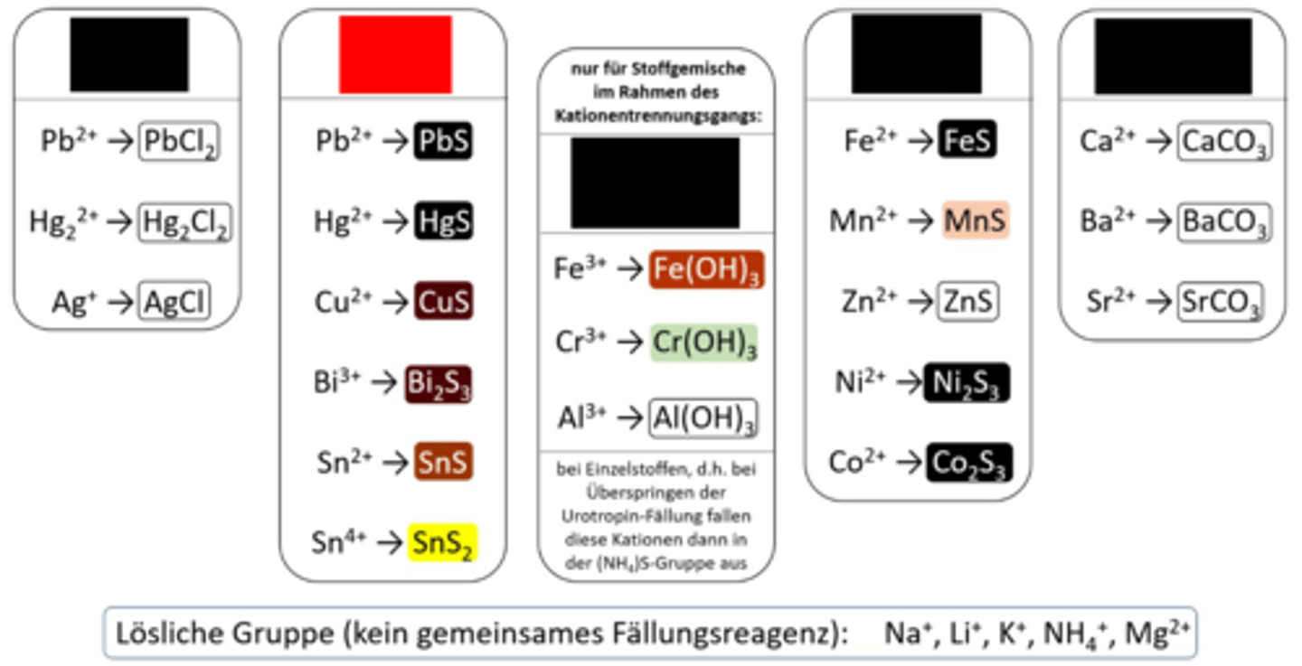<p>Kationen-Gruppenreaktion 2</p>