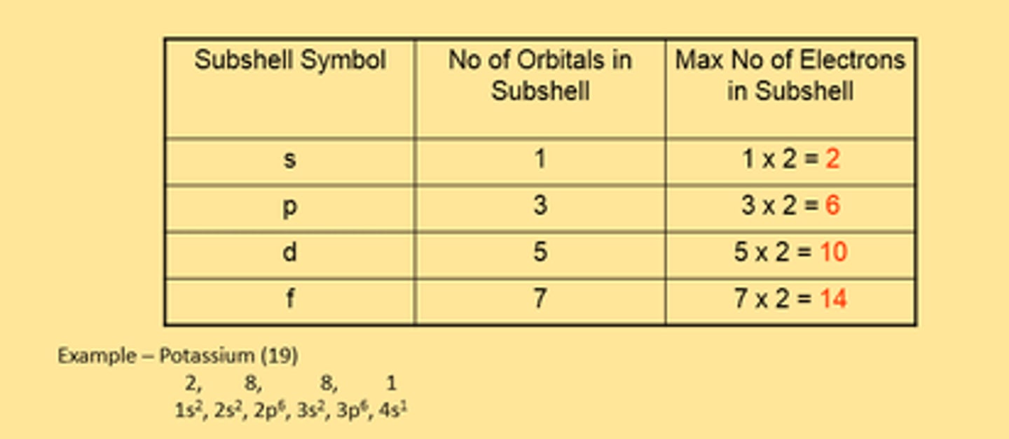 <p>two electrons in each orbital spin in opposite directions</p>