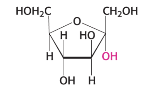 <p>what compound is this?</p>