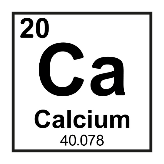 <p>Calcium </p>