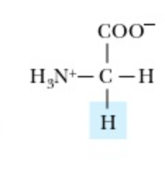 <p>Glycine</p>