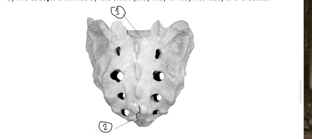 <p>What is this an ids parts </p>