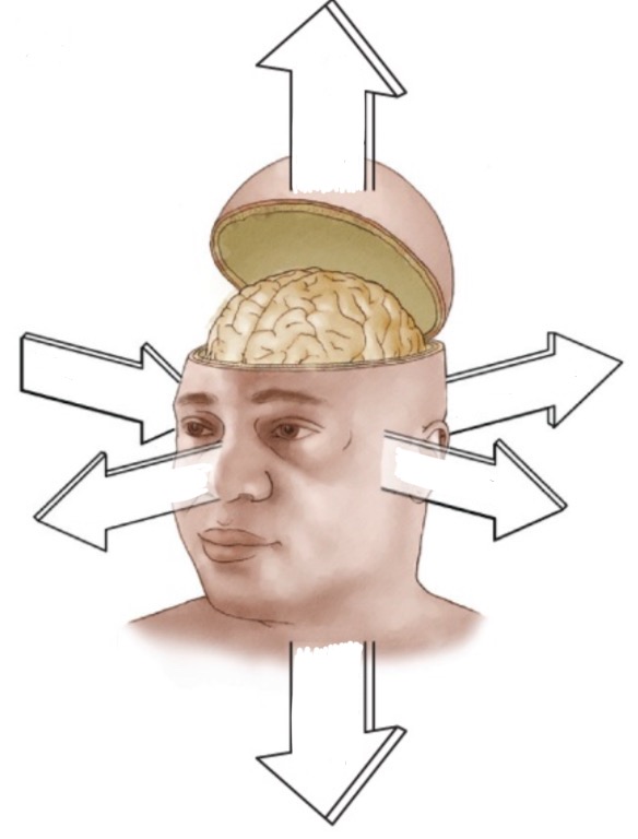 <p>The anatomical locations with respect to relative location (the face):</p>