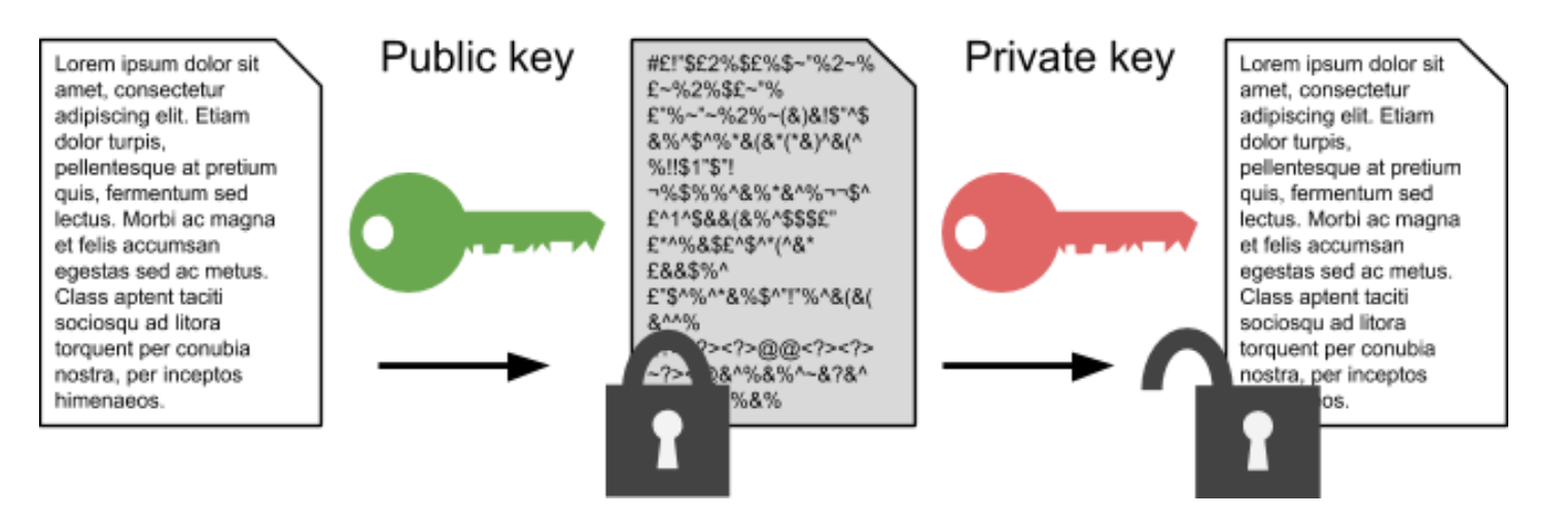 <p>Before a message is sent, it’s encrypted by the sender using the recipients public key. This means only the corresponding private key can decrypt it and vice versa. </p><p>The recipients private key (which the recipient only has access too) means that only the recipient can decrypt the message </p>