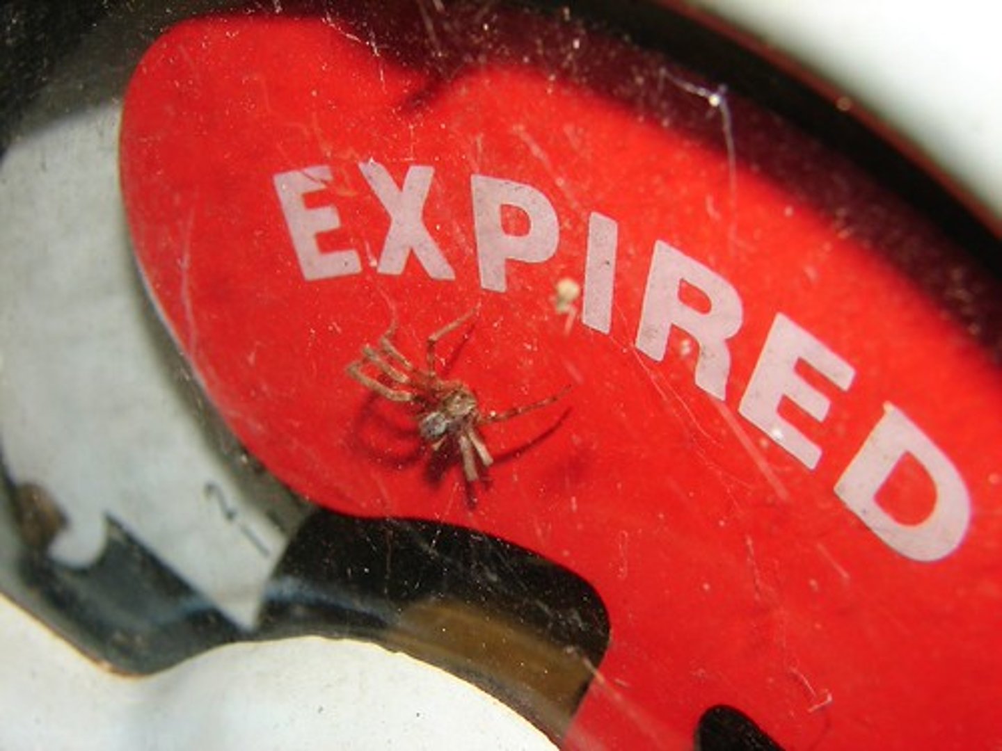 <p>expirado, pasado de la fecha en que se puede usar algo</p>