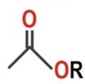 <p>which functional group is this molecule?</p>
