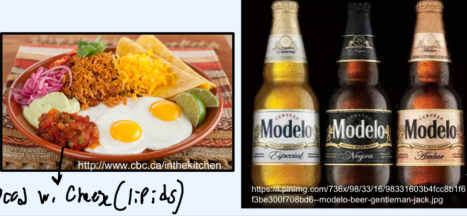 <ul><li><p>Regenerative anemias</p></li><li><p>Hepatic, renal, lipid disorders</p></li><li><p>Iron Deficiency </p></li></ul><p></p><p>Jeuvos Rancheros= cheese (lipids), modelo (liver+renal), </p>