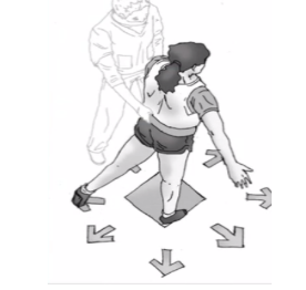 <p>Document the picture </p>