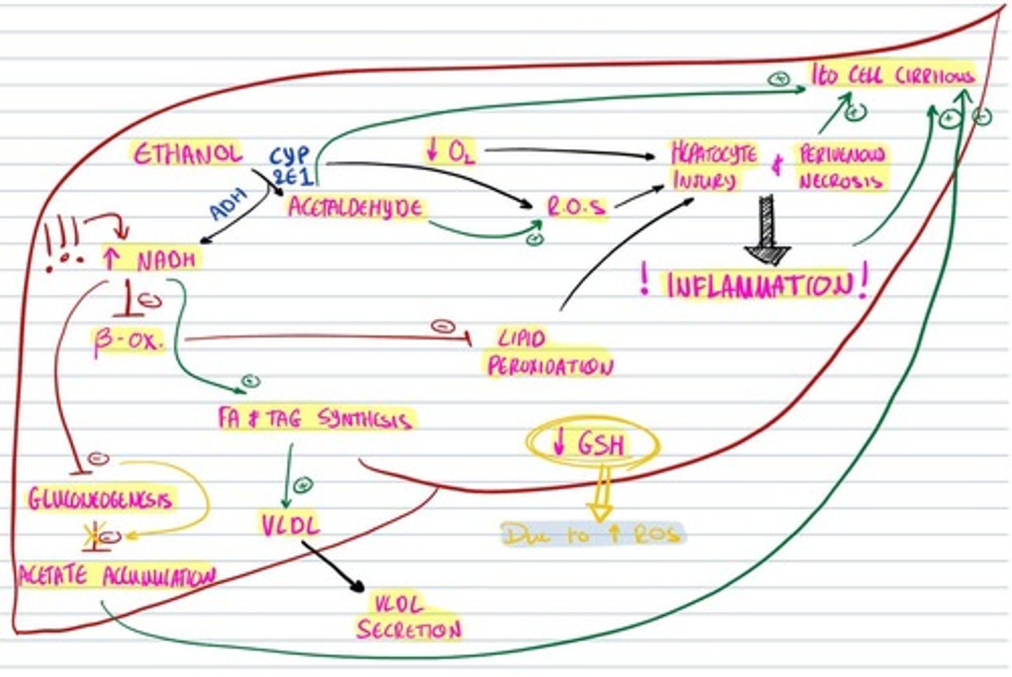 knowt flashcard image