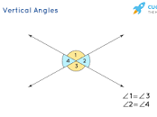 <p>Located across from one another in the corners of the "X" formed by two straight lines</p>