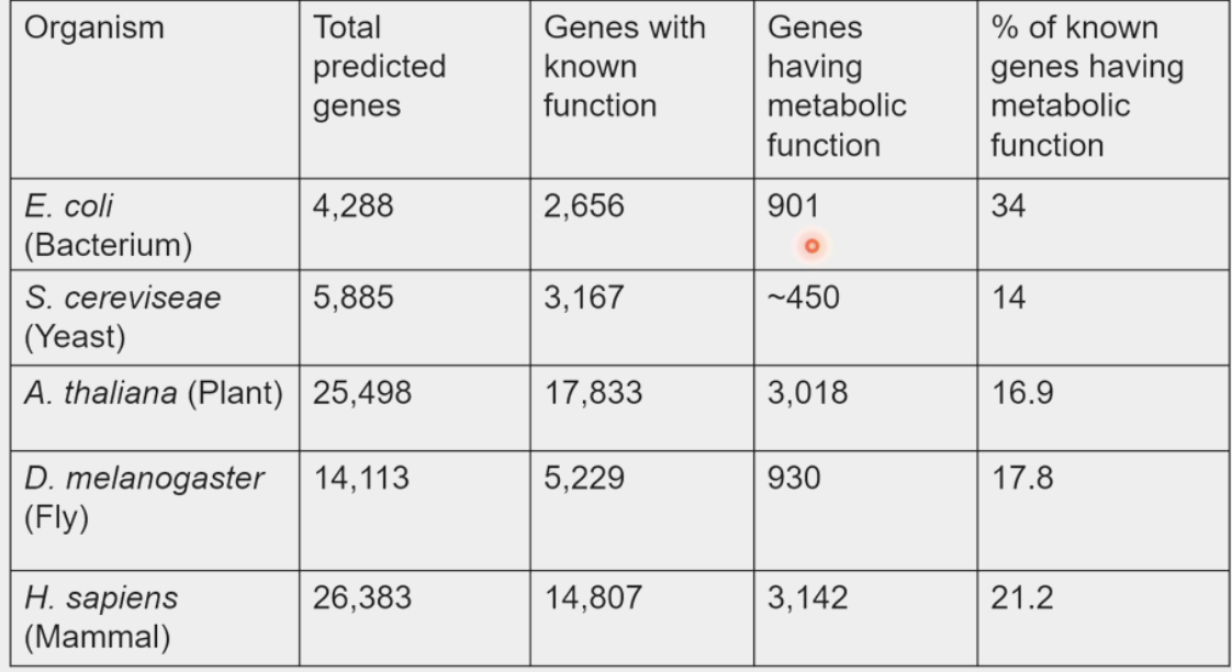<ul><li><p>science of energy conversions</p></li><li><p>organisms devote 20% of genome to this</p></li><li><p>high-quality → low-quality energy</p></li></ul><p></p>