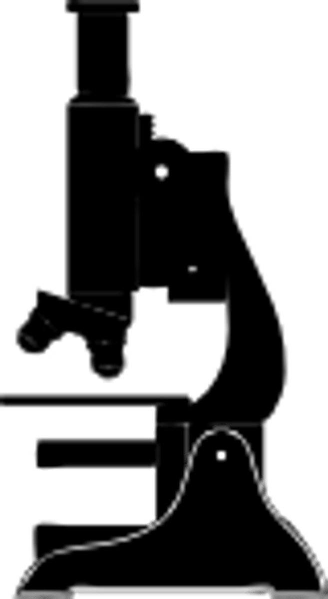 <p>small</p>