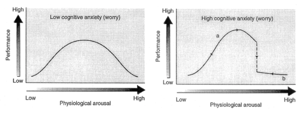 <p>cusp model describes interactive effects of cognitive anxiety (not somatic) and physiological arousal on performance</p>
