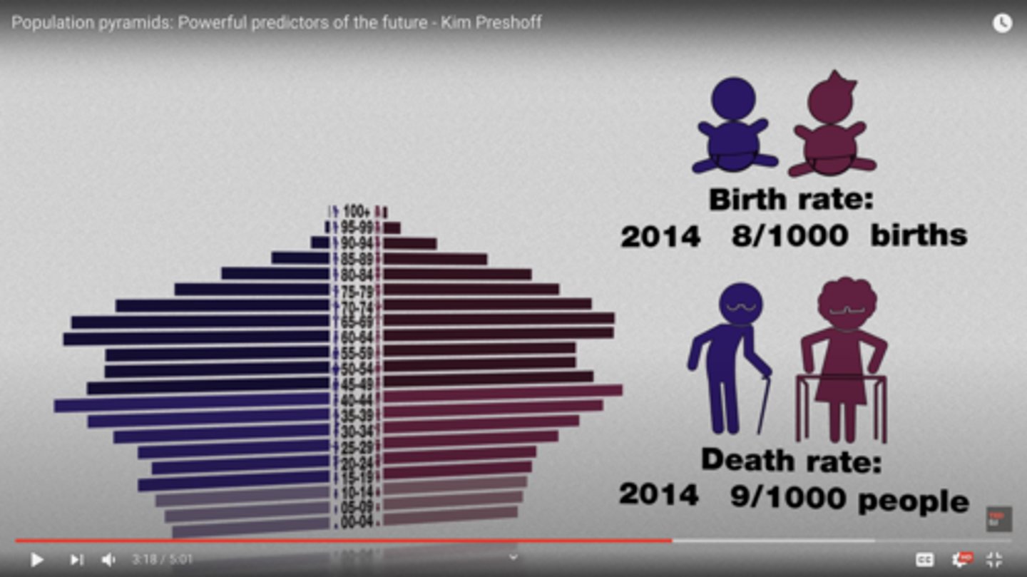 <p>negative (declining population size)</p>