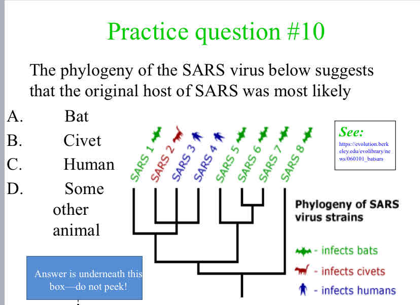 <p>The phylogeny of the SARS virus below suggests that the original host of SARS was most likely</p>