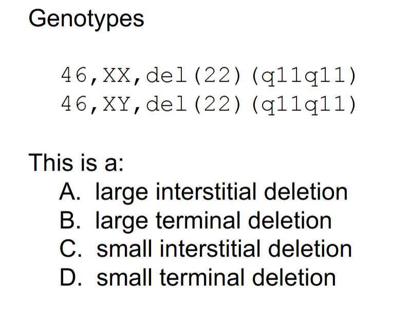 <p>C = the correct rearrangement</p><ul><li><p>the deletion results in a small interstitial deletion</p><ul><li><p>Interstitial b/c 2 break points</p></li><li><p>Small b/c breaks are within the same region (11)</p></li></ul></li></ul><p></p>