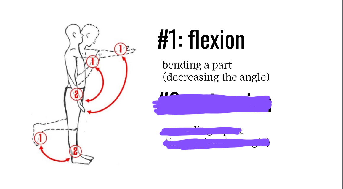 <p>Describing the angle of a joint(Bending)</p>