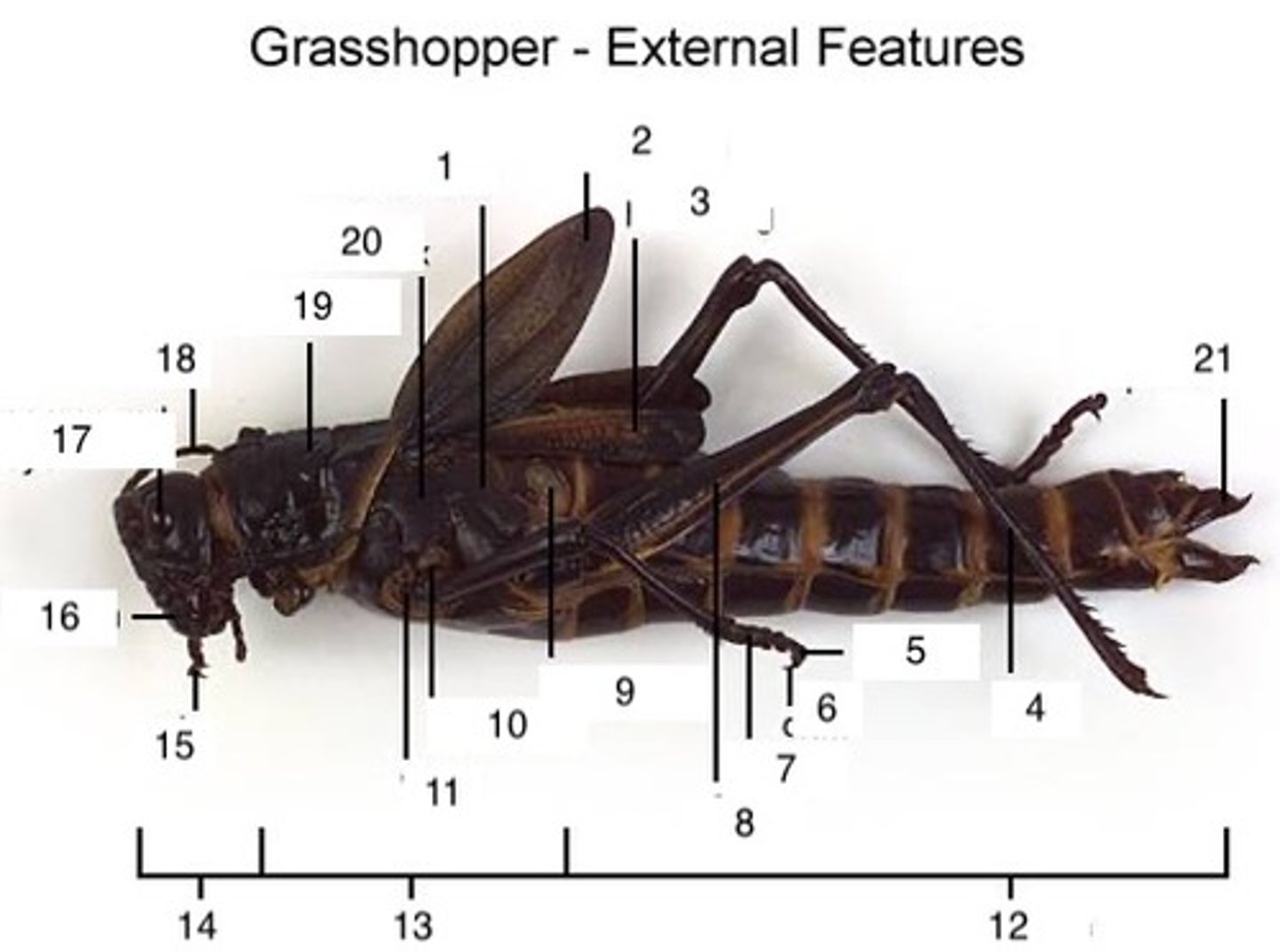 <p>6</p>