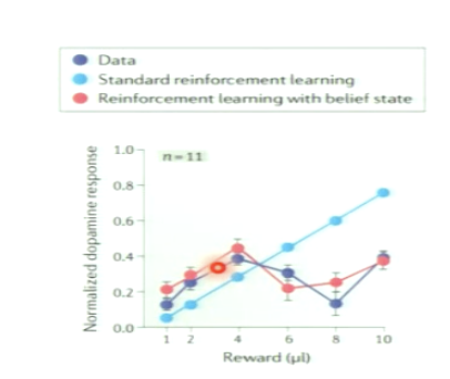 <p>firing of dopamine neurons is consistent with a map of task space (model-based)</p><p>animal has expectation to be in a high or low reward block and RPE scales accordingly </p><ol><li><p>The animal <strong>tracks which block it’s in</strong> (high-reward vs low-reward block)</p></li><li><p>RPEs <strong>scale based on the inferred state</strong></p></li></ol><p>e.g. When mice receive an intermediate reward, dopamine responses shift depending on what block the animal <em>believes</em> it is in (high vs. low reward block)</p><p></p>
