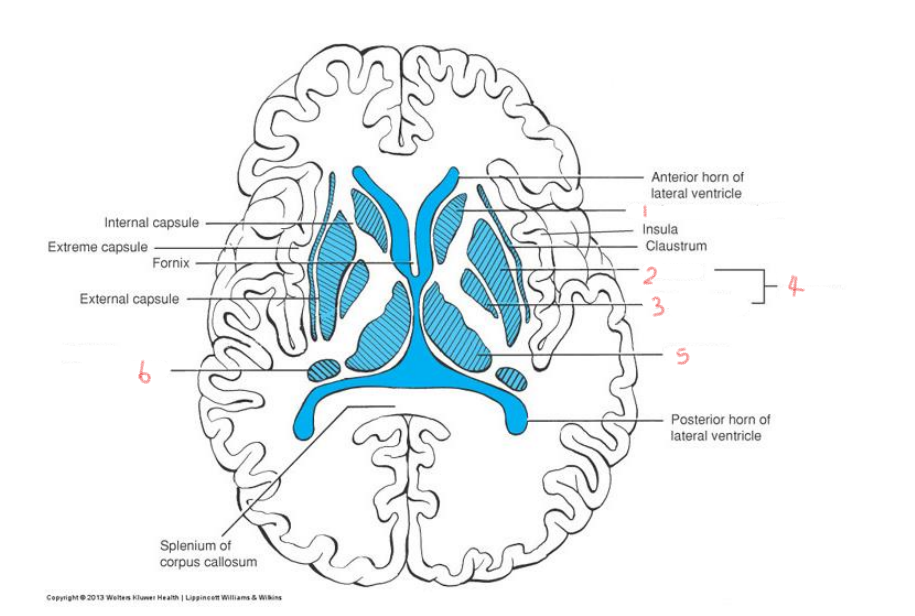 <p>1</p>