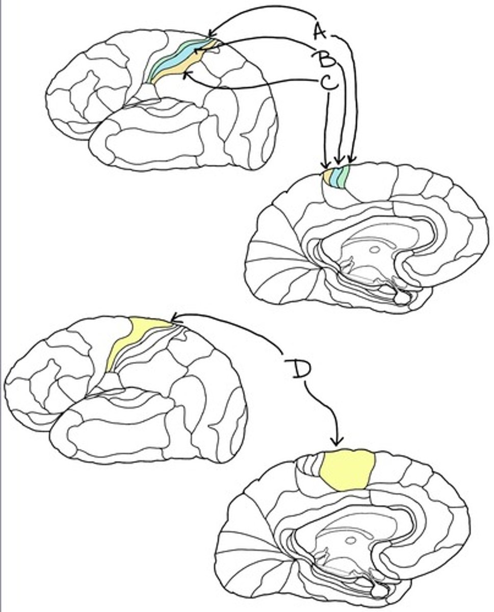<p>3</p>