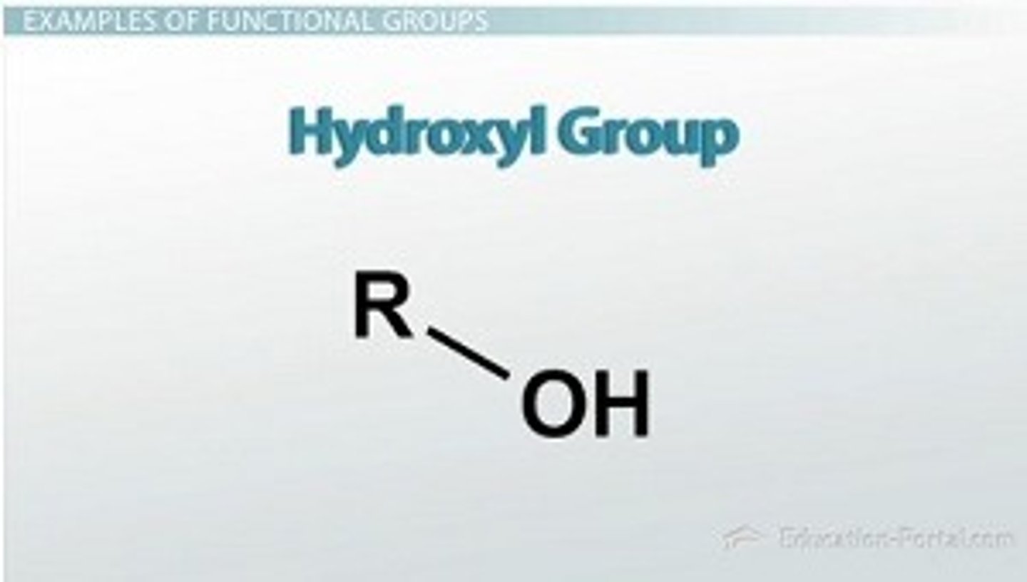 <p>A chemical group consisting of an oxygen atom joined to a hydrogen atom. Molecules possessing this group are soluble in water and are called alcohols.</p>