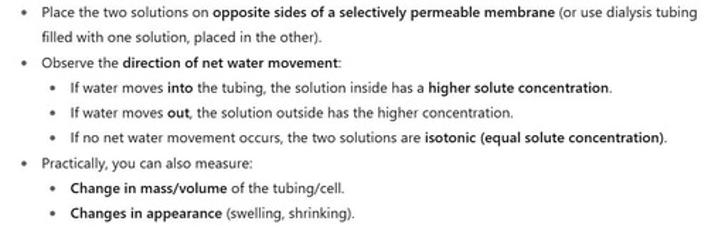 <p>Lower solute concentration outside the cell → water moves into the cell.</p>