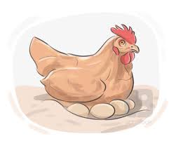 <p>(of a bird, insect, fish, etc.) to produce eggs</p>