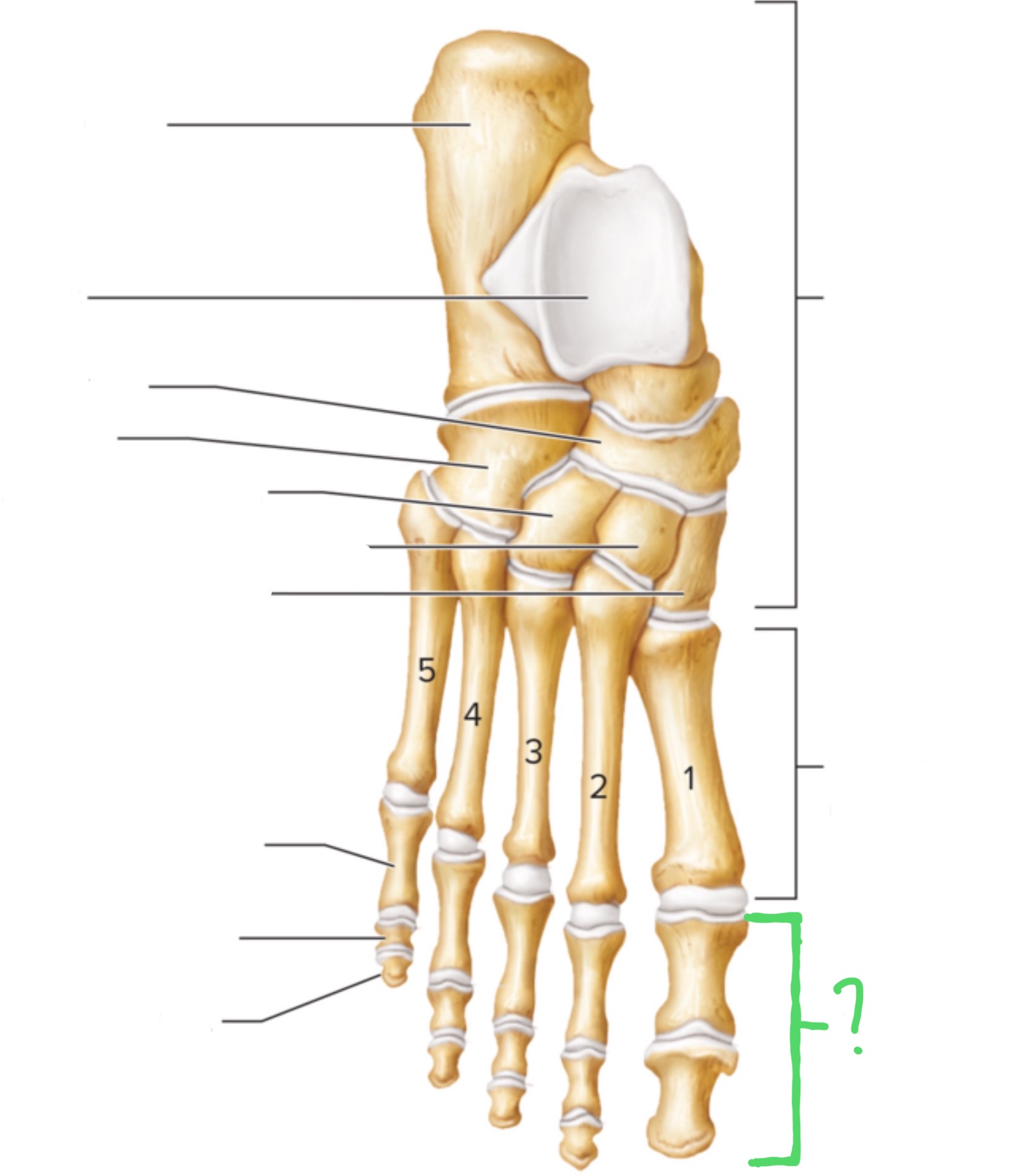 <p>What are these?</p>