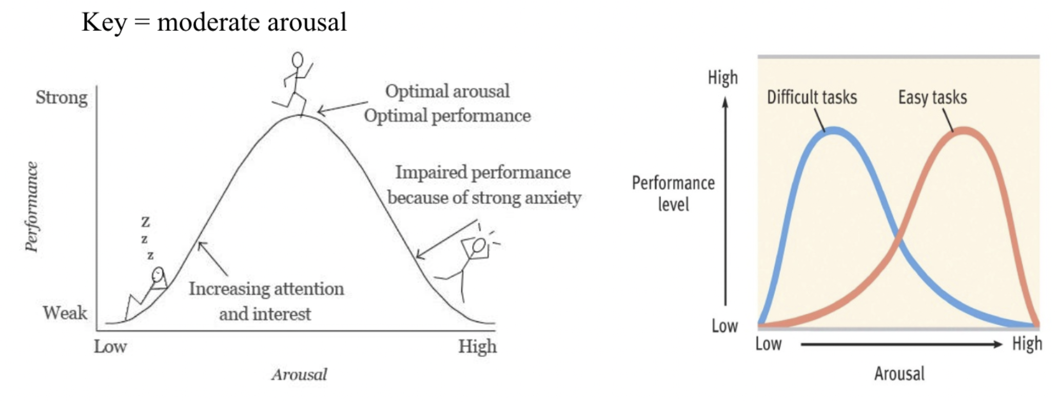 <p>the principle that performance increases with arousal only up to a point, beyond which performance decreases.</p>