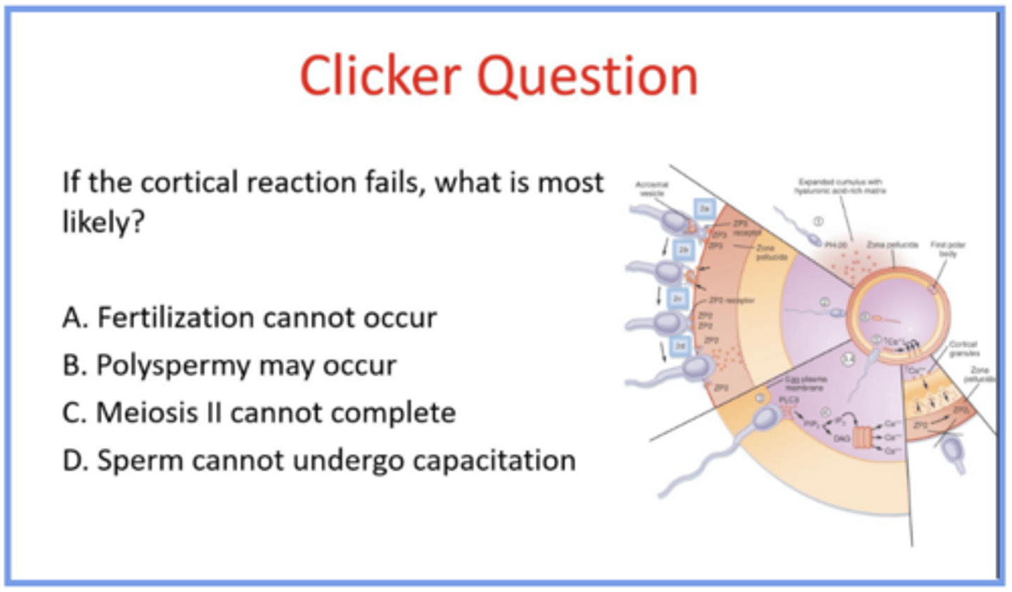 <p>answer the question and explain</p>