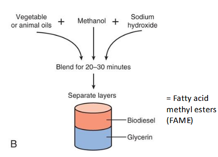 <p class=""></p><ul><li><p class="">Biodiesel består av FAME (Fatty Acid Methyl Esters) produsert fra planteolje eller animalsk fett.</p></li><li><p class="">Produksjon skjer via transesterifisering av fettsyrer.</p></li><li><p class="">Biodiesel reduserer utslipp av CO, partikler og SOx.</p></li></ul><p></p>