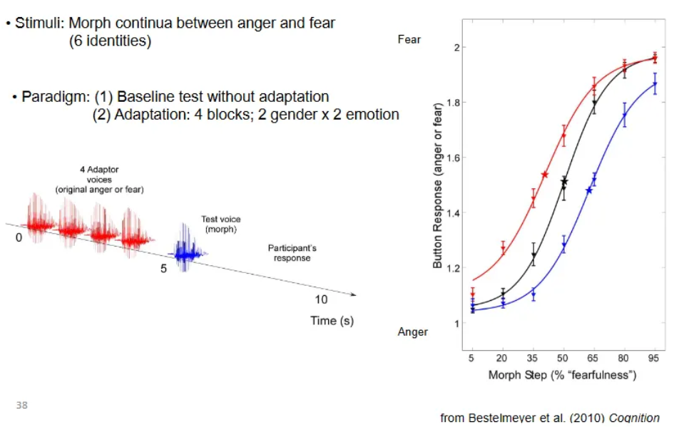 <p>A perceptual phenomenon where prolonged exposure to a specific vocal emotion (like anger or fear) biases our perception, making subsequent ambiguous voices seem more like the opposite emotion (e.g., angry-adapted voices sound more fearful), demonstrating how our brains adjust to emotional cues to better interpret new or unclear vocal expressions.</p><p>This process reveals a multi-stage model of emotion perception, involving low-level acoustic analysis and higher-level cognitive interpretation, with adaptation occurring at different neural levels.</p>