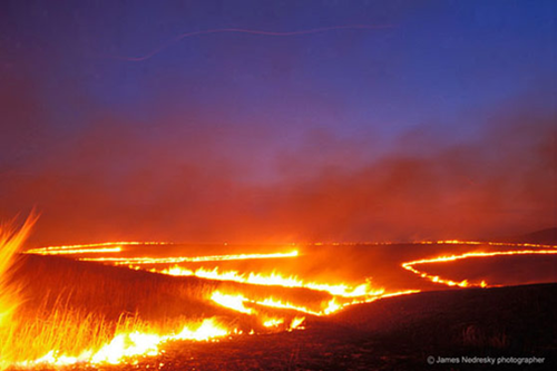 An event, caused by physical, chemical, or biological agents, resulting in changes in population size or community composition