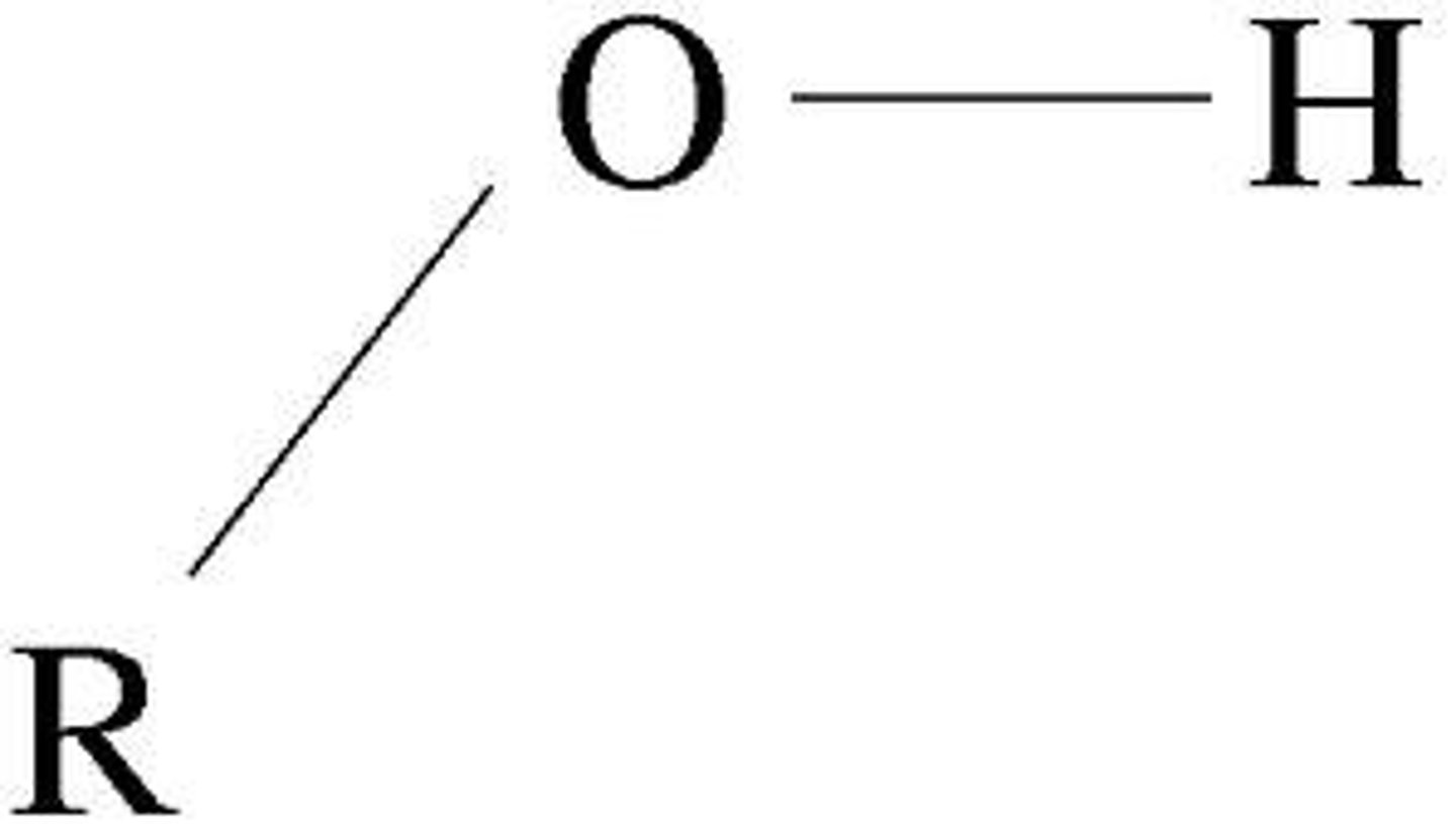 <p>oxygen (O) and hydrogen (H) bonded</p>