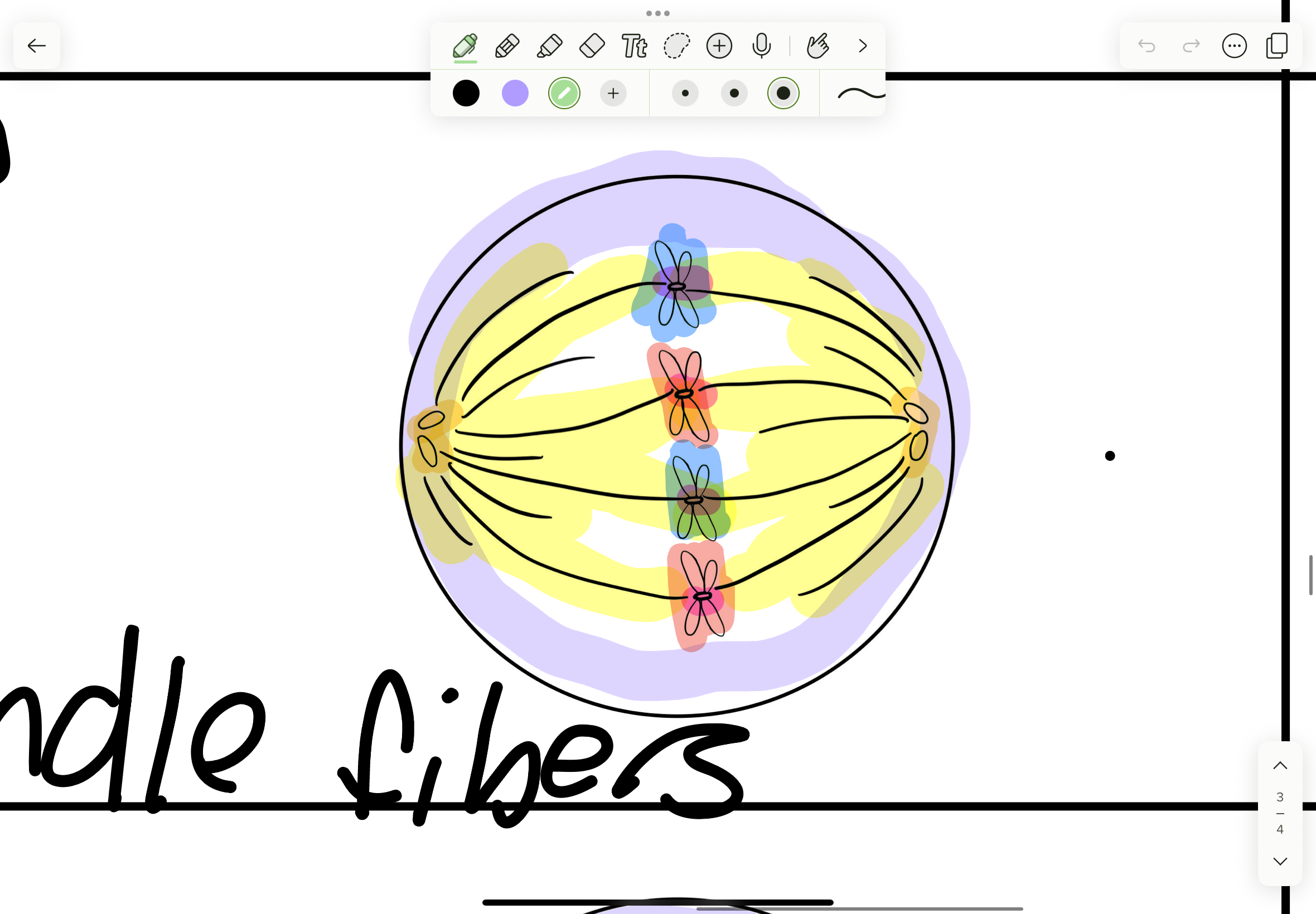 <p>What phase</p>