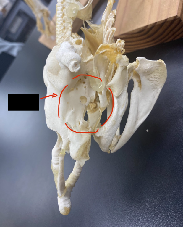 <p>What part is this</p>