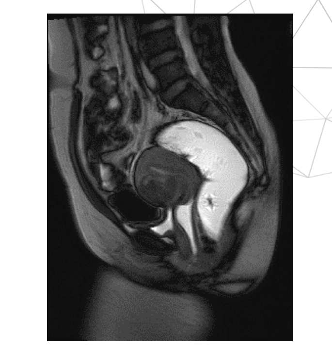<p>Xung gì, thì gì</p>