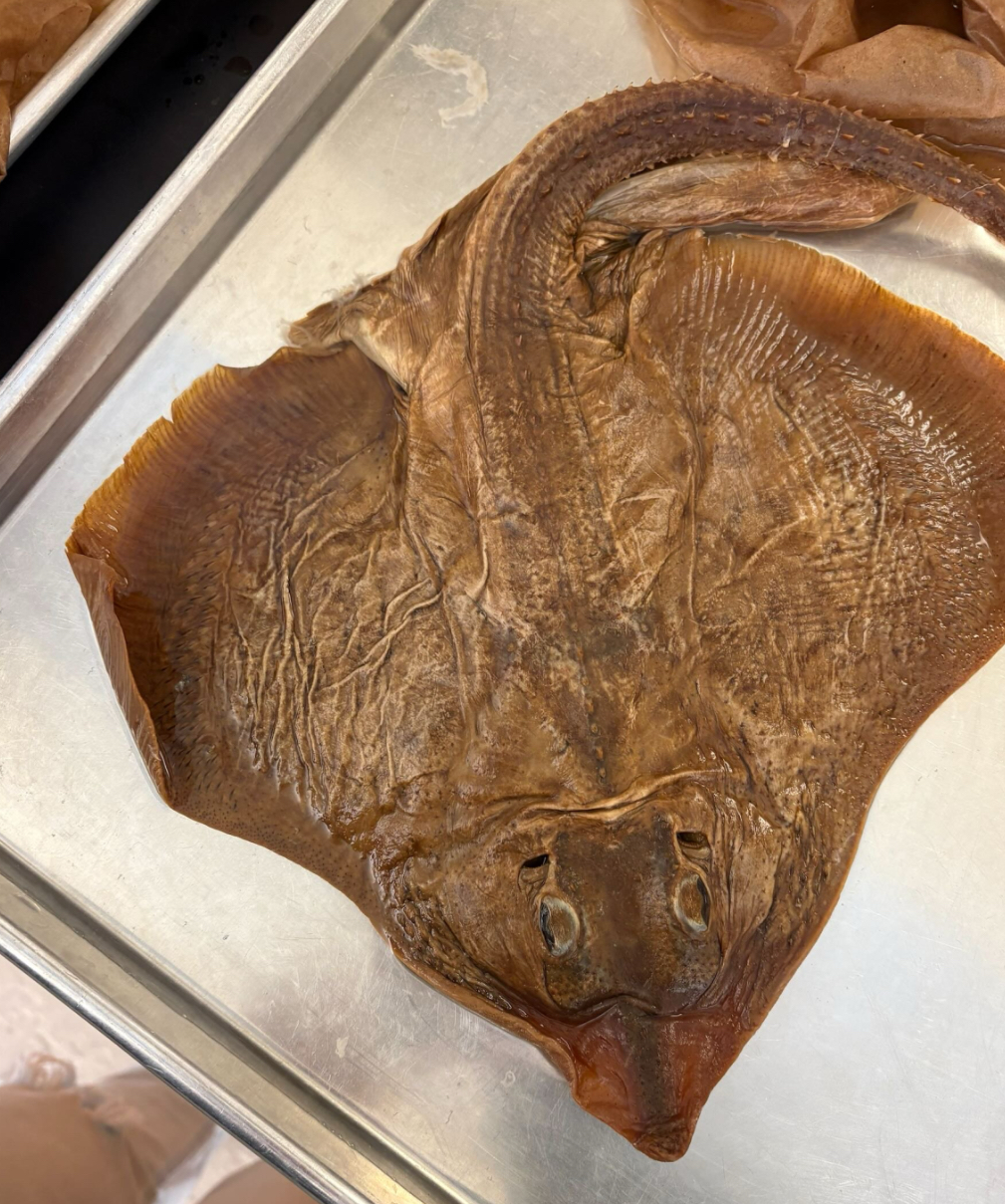 <p>Is this a  ray or a skate </p>