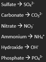 <p>Ions with more than 1 atom/element in them</p>